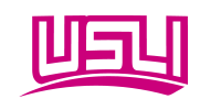 USLI Logo